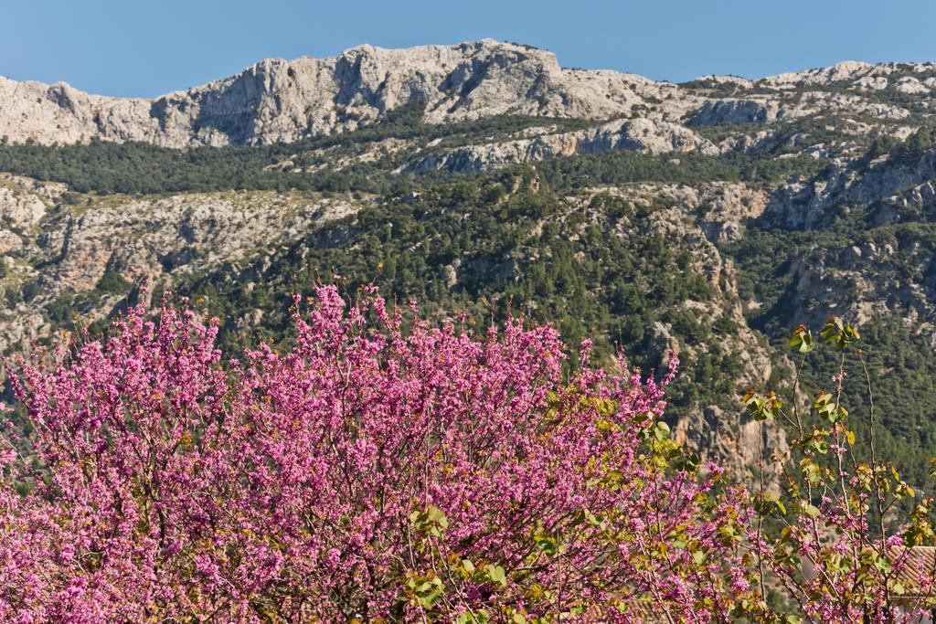 Hotel Can Roses Sóller Esterno foto